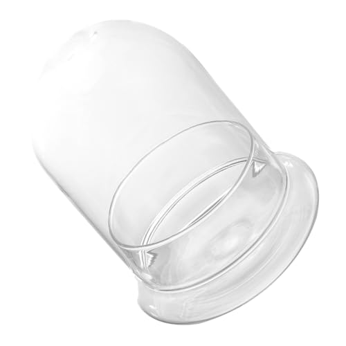 ROMISBABA Transparente Ökologische Micro Landschaftsflasche aus Glas ohne DIY Moos Terrarium für Schreibtisch Wohnraumdeko und Pflanzen Langlebiger Flaschengarten von ROMISBABA