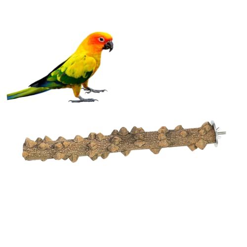 ROMISBABA Vogel Stehen holzspielzeug holzspielsachen Birdcage Bird cage vogelkäfig vogelspielzeug Stand Haustier Klettern Pfote Schleifen Papageienbarsch Papageienspielständer Protokoll von ROMISBABA