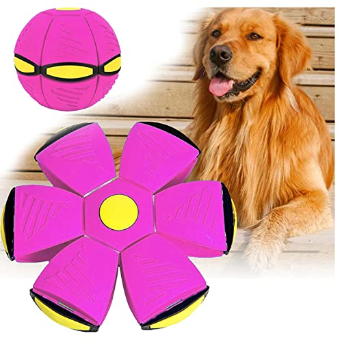 ROMOZ Fliegende Untertassenkugel FüR Hunde, Welpenspielzeug Freie Verwandlung Spielball FüR Hunde, Interaktives Hundespielzeug,Purple-1PC von ROMOZ