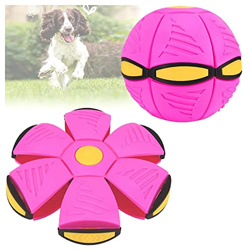 ROMOZ Pet Toy Flying Saucer Ball, Hundespielzeug Welpen Gute FlexibilitäT Hundeball UnzerstöRbar, Interaktives Hundespielzeug,Purple-1PC von ROMOZ