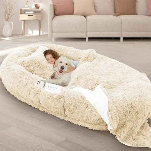 ROOMTEC Hundebett, 180 x 114 x 30 cm, waschbar, riesiges Hundebett, 10 cm dick, Memory-Schaum, großes übergroßes Hundebett mit prallen Kissen, Decke, Gurt, Beige ROOMTEC Hundebett, 180 x 114 x 30 cm, waschbar, riesiges Hundebett, 10 cm dick, Memory-Schaum, großes übergroßes Hundebett mit prallen Kissen, Decke, Gurt, Beige von ROOMTEC
