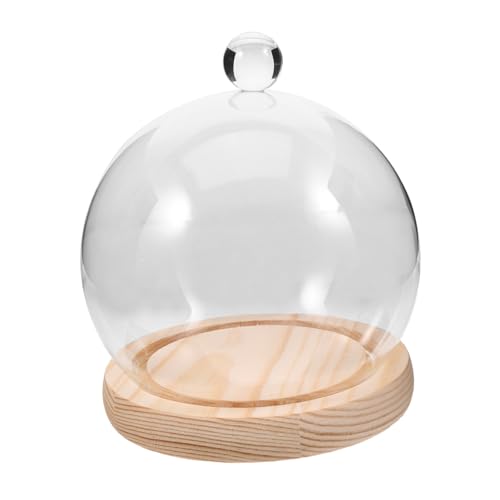 RORPOIR Glaskuppel mit Holzboden Runde Transparente Glasglocke Terrarium Display für Konservierte Blumen Dekorative Tischvitrine mit Langlebigem Holzsockel Eleganter Schutz und RORPOIR Glaskuppel mit Holzboden Runde Transparente Glasglocke Terrarium Display für Konservierte Blumen Dekorative Tischvitrine mit Langlebigem Holzsockel Eleganter Schutz und von RORPOIR