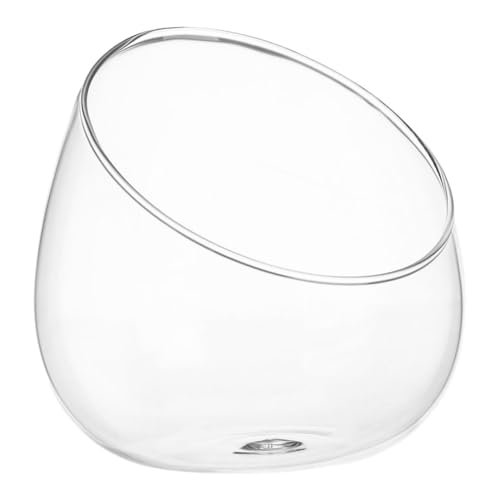 RORPOIR Klare Glasvase mit Schrägem Rand Eleganter Tischdeko-glasterrarium-Planter für Sukkulenten und Kleine Pflanzen Modernes Wohn Bürodekor Dekorative Glasblumen-Schale RORPOIR Klare Glasvase mit Schrägem Rand Eleganter Tischdeko-glasterrarium-Planter für Sukkulenten und Kleine Pflanzen Modernes Wohn Bürodekor Dekorative Glasblumen-Schale von RORPOIR