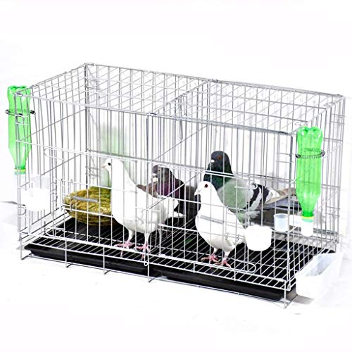 RORQUSCADE Massiver Metallischer Vogelkäfig Großer Zuchttaubenkäfig mit Trennwänden Tablett Trinkbrunnen Eisen Flugkäfig für Sittiche Papagei (Metallic) von RORQUSCADE