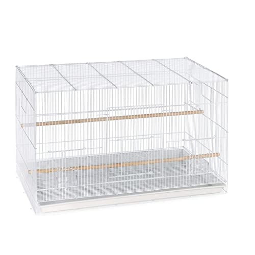 RORQUSCADE Massiver schmiedeeiserner Vogelkäfig Quadratische Vogelträger Kreative Tragbare Vogelhaus-Transportbox Großer Vogelkäfig für kleine mittelgroße Vögel (Weiß) von RORQUSCADE