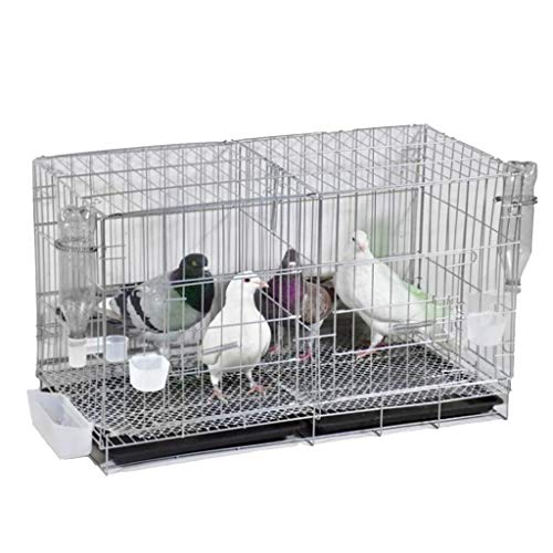RORQUSCADE Vogelkäfig aus massivem Metallic-Eisen (Metallic B) von RORQUSCADE