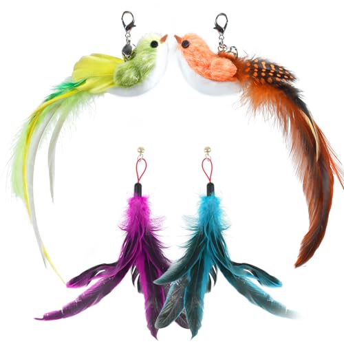 ROSAUI Natural Feather Cat Toy Replacements - Set of 4 Interactive Bird and Feather Attachments for Cat Teaser Wand - Stimulates Hunting Instincts - Indoor Pet Exercise and Fun for Kittens and Cats von ROSAUI