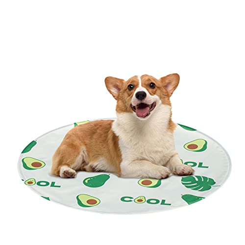 ROSSEV Eisdecke für Haustiere | Kühldecke für Hunde beißt – Katzenbett, kühlend, wasserfest, mit Corgi-Avocado-Motiv für kleine Hunde von ROSSEV