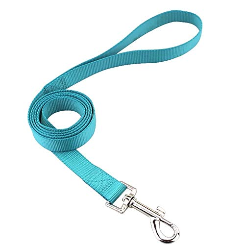 Seil Haustier-Hundehalsband Nylon Hund Katze Halsbänder for Hunde Small Medium Can Spiel Leine Harness Mit Quick Snap Schnalle (Color : Sky Blue Leash, Size : XS 1.0cm) von ROTAKUMA