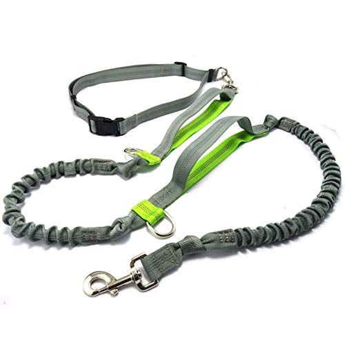 Seil Haustier-Produkt-Hundeleine Laufband Jogging Sport Verstellbare Nylonhunde Seil Mit Reflektierendem Streifen Tierzubehör Freihändige (Color : Green, Size : Adjustable) von ROTAKUMA
