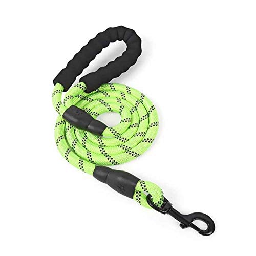 Seil Pet Products Hundeleine for Kleine Große Hunde Leinen Reflektierende Hundeleine Seil Haustiere Leithund-Collar Harness Nylon Laufleinen (Color : Light Green, Size : 1.2M) von ROTAKUMA