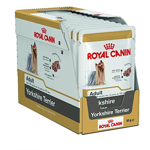 12 x 85 g Beutel Royal Canin Nassfutter für Hunde, für Yorkshire Terrier, Lieferung von Maltby‘s UK von ROYAL CANIN