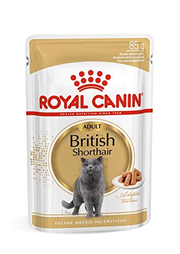 FBN Wet British Shorthair 85gr (12uds) von ROYAL CANIN