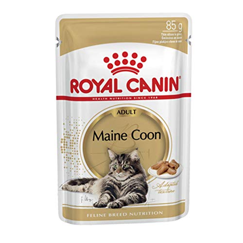 Royal Canin Maine Coon Adult | 12 x 85 g | Nassfutter für Katzen | Speziell auf die Bedürfnisse von Maine Coon Katzen abgestimmt | Mit angepasstem Energiegehalt von ROYAL CANIN