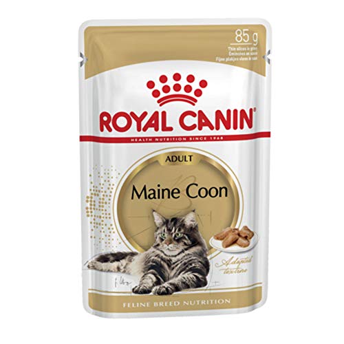 FBN Wet Maine Coon 85gr (12uds) von ROYAL CANIN