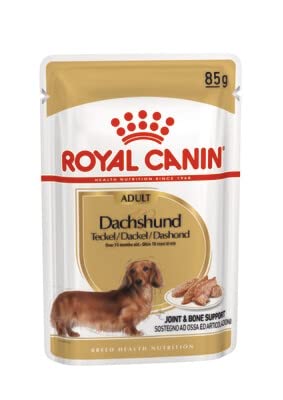 Maltby‘s UK Royal Canin Nassfutter für Kleinhunde (Dackel), 12 Beutel zu 85 g von ROYAL CANIN