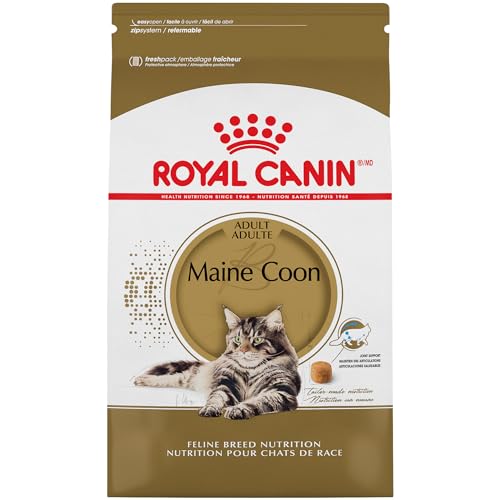 ROYAL CANIN BREED HEALTH NUTRITION Maine Coon dry cat food, 6-Pound by Royal Canin ROYAL CANIN BREED HEALTH NUTRITION Maine Coon dry cat food, 6-Pound by Royal Canin von ROYAL CANIN