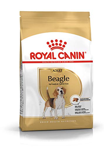 ROYAL CANIN Beagle Adult 3 kg, 1er Pack (1 x 3 kg) von ROYAL CANIN