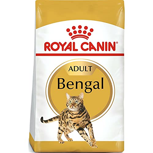 ROYAL CANIN Bengal Adult | 400 g | Alleinfuttermittel für Katzen | Speziell für ausgewachsene Bengalkatzen | Ab dem 12. Monat | Trockennahrung für Bengal-Katzen von ROYAL CANIN