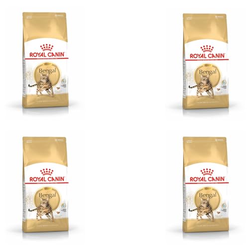 ROYAL CANIN Bengal Adult | 4er Pack | 4 x 400 g | Alleinfuttermittel für Katzen | Speziell für ausgewachsene Bengalkatzen | Ab dem 12. Monat | Trockennahrung für Bengal-Katzen von ROYAL CANIN