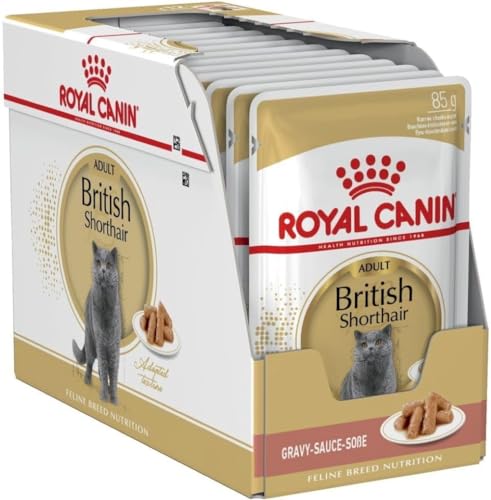Royal Canin Adult British Shorthair Nassfutter, 12 x 85 g Royal Canin Adult British Shorthair Nassfutter, 12 x 85 g von ROYAL CANIN