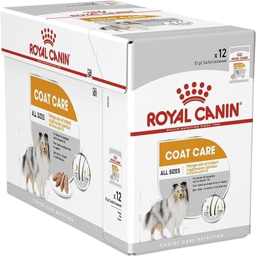 Royal Canin Coat Care Loaf | 12 x 85 g | Alleinfuttermittel für ausgewachsene Hunde aller Rassen | Kann dabei helfen die Haut- und Fellgesundheit zu unterstützen | Mousse von ROYAL CANIN