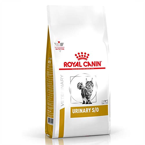 Royal Canin Veterinary Urinary S/O | 400 g | Trockenfutter für Katzen | Zur Unterstützung der Harnwege | Bei Struvitkristallen | Reduzierter Magnesiumgehalt von ROYAL CANIN