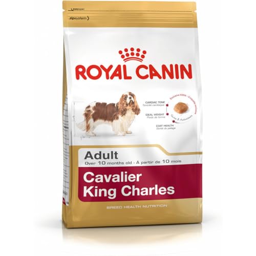 Royal Canin Cavalier King Charles Adult 1,5 kg, 1er Pack (1 x 1.5 kg) von ROYAL CANIN