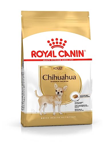Royal Canin Chihuahua Adult | 500 g | Trockenfutter für ausgewachsene Chihuahuas | Zur Unterstützung der Stuhlqualität und der Zahngesundheit | Hohe Akzeptanz bei Hunden von ROYAL CANIN