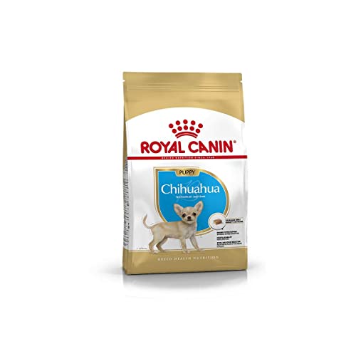 Royal Canin Chihuahua Puppy | 500 g | Alleinfuttermittel speziell für Chihuahua-Welpen | Bis zum 8. Monat | Kann zur Reduzierung von Stuhlgeruch beitragen von ROYAL CANIN