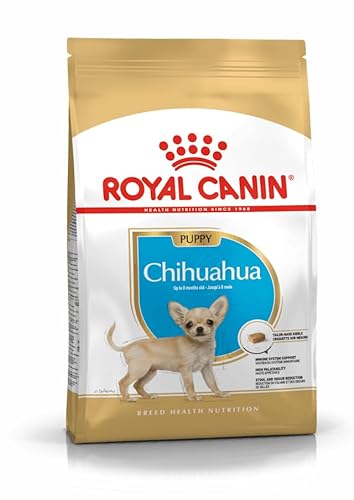 Royal Canin Chihuahua Puppy | 500 g | Alleinfuttermittel speziell für Chihuahua-Welpen | Bis zum 8. Monat | Kann zur Reduzierung von Stuhlgeruch beitragen von ROYAL CANIN