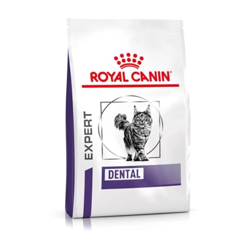 Royal Canin Expert DENTAL | 3 kg | Alleinfuttermittel für ausgewachsene Katzen | Empfindlichkeiten der Mundhöhle | Zahngesundheit | Haarballen-Komplex von ROYAL CANIN