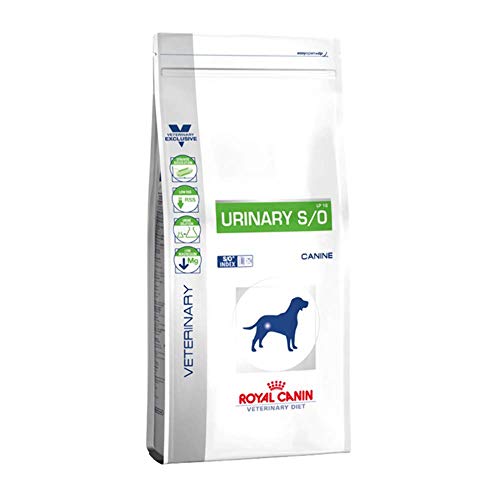 Royal Canin Dog Urinary, 1er Pack (1 x 14 kg) von ROYAL CANIN