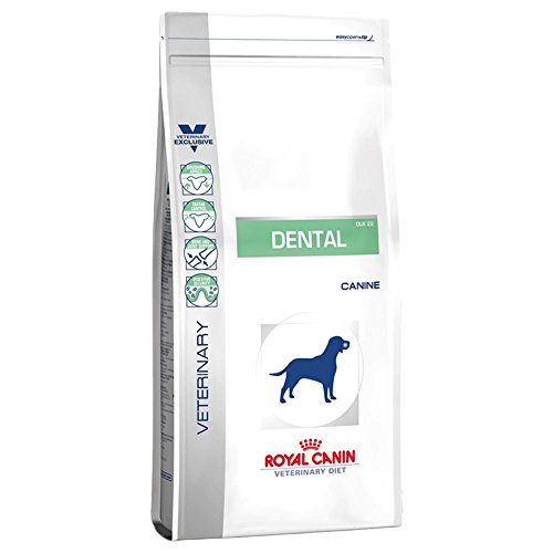 Royal Canin Dog dental, 1er Pack (1 x 14 kg) von ROYAL CANIN