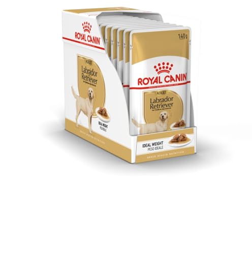 ROYAL CANIN E Labrador Erwachsene CAJA 10 x 140 g ROYAL CANIN E Labrador Erwachsene CAJA 10 x 140 g von ROYAL CANIN