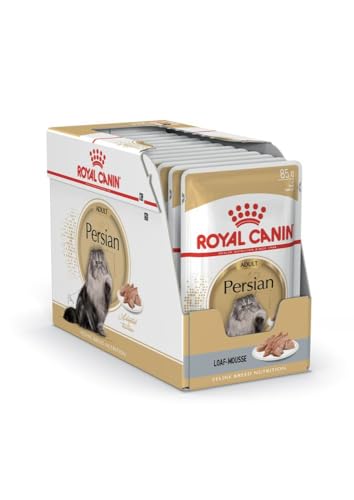 ROYAL CANIN FBN Persian Adult in Pate Form - Wet Food for Adult Cats - 12x85g von ROYAL CANIN