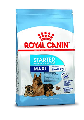 Royal Canin Hundefutter Maxi Starter 4 kg, 1er Pack (1 x 4 kg) von ROYAL CANIN
