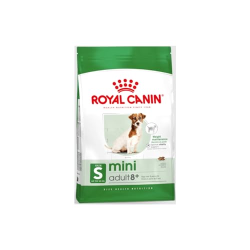 Royal Canin Mini Adult 8+ | 800 g | Alleinfuttermittel für ältere Hunde kleiner Rassen | Ab dem 8. Lebensjahr | Abgestimmter Energiegehalt und angepasste Krokettengröße von ROYAL CANIN