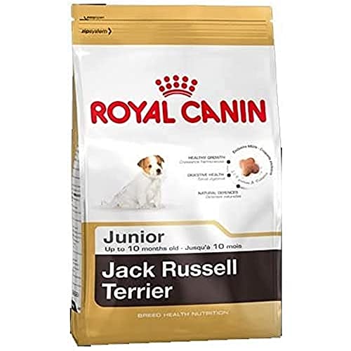 ROYAL CANIN Jack Russel Junior 3 kg, 1er Pack (1 x 3 kg) von ROYAL CANIN