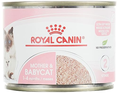 Royal Canin Katzenfutter Feline Babycat Instinctive 195 g, 6er Pack (6 x 195 g) von ROYAL CANIN