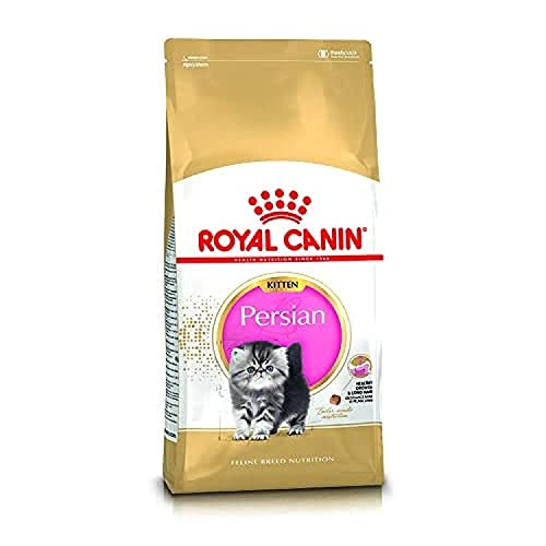 Royal Canin Katzenfutter Feline Kitten Persian 32, 2 kg, 1er Pack (1 x 2 kg) von ROYAL CANIN