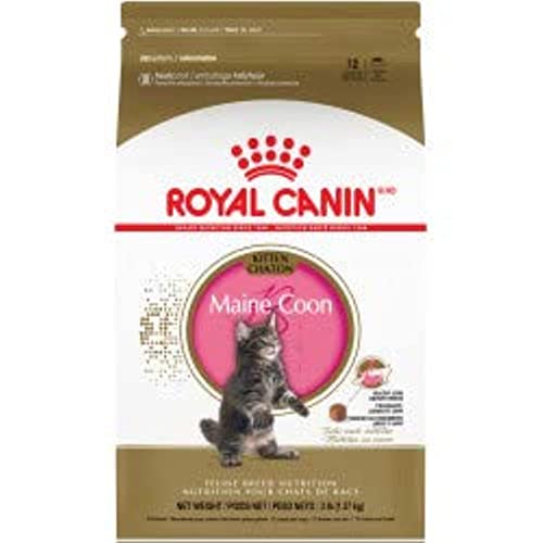 Royal Canin Kitten Maine Coon, 1er Pack (1 x 2 kg) von ROYAL CANIN
