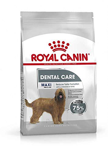 ROYAL CANIN Maxi Dental Care - 3 kg von ROYAL CANIN