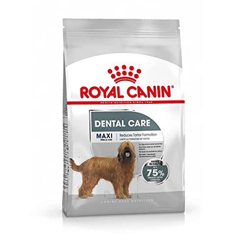 ROYAL CANIN Maxi Dental Care - 9 kg von ROYAL CANIN