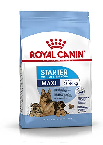 ROYAL CANIN Maxi Starter Mother & Babydog - 15 kg von ROYAL CANIN