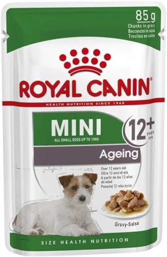 Royal Canin Mini Ageing 12+ | 12 x 85 g | Alleinfuttermittel für Senior Hunde kleiner Rassen | Kann dabei helfen die Nierengesundheit von Hunden zu unterstützen | In Soße von ROYAL CANIN