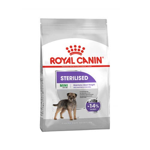 Royal Canin CCN Sterilised Mini | 1kg | Alleinfuttermittel für kleine Hunde | Für ausgewachsene und kastrierte kleine Hunde mit Neigung zur Gewichtszunahme | Trockenfutter von ROYAL CANIN
