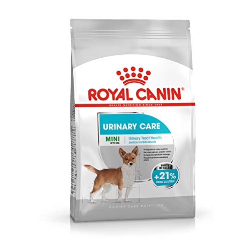 ROYAL CANIN Mini Urinary Care - 1 kg von ROYAL CANIN