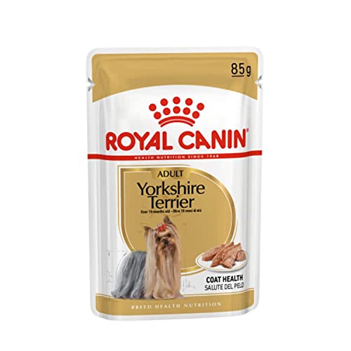 Royal Canin Yorkshire Terrier Adult | 12 x 85 g | Nassfutter für ausgewachsene Hunde im Frischbeutel | Ab dem 10. Lebensmonat | Zur Unterstützung von Fell und Stuhlqualität von ROYAL CANIN