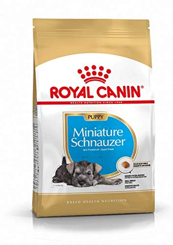Royal Canin Miniature Schnauzer Junior 1,5 kg, 1er Pack (1 x 1.5 kg) von ROYAL CANIN